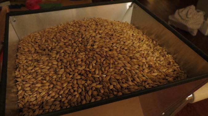 Pilsner malt enroute to a higher purpose