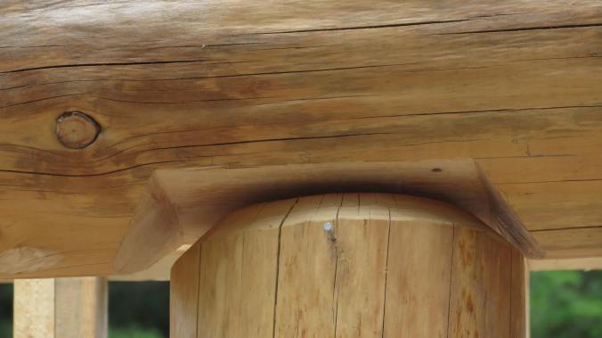 'The gap' mocking my 9 months of labour